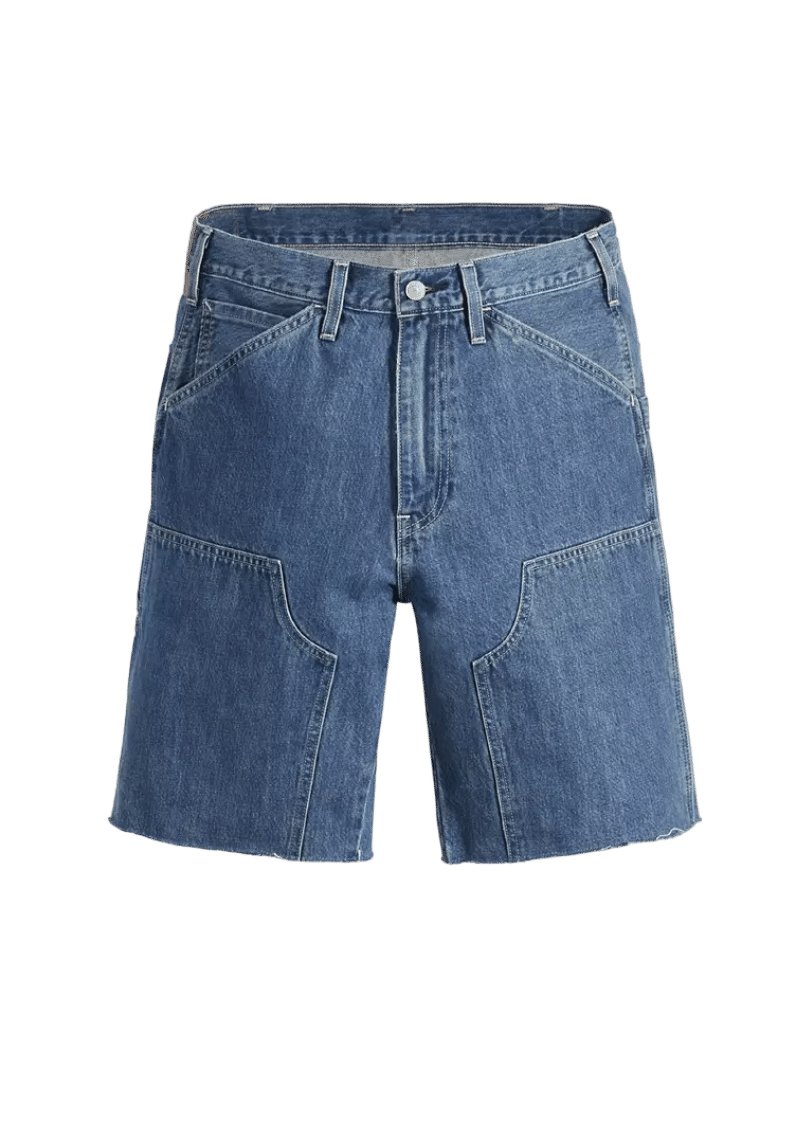 Levis carpenter jeans - Aestlive